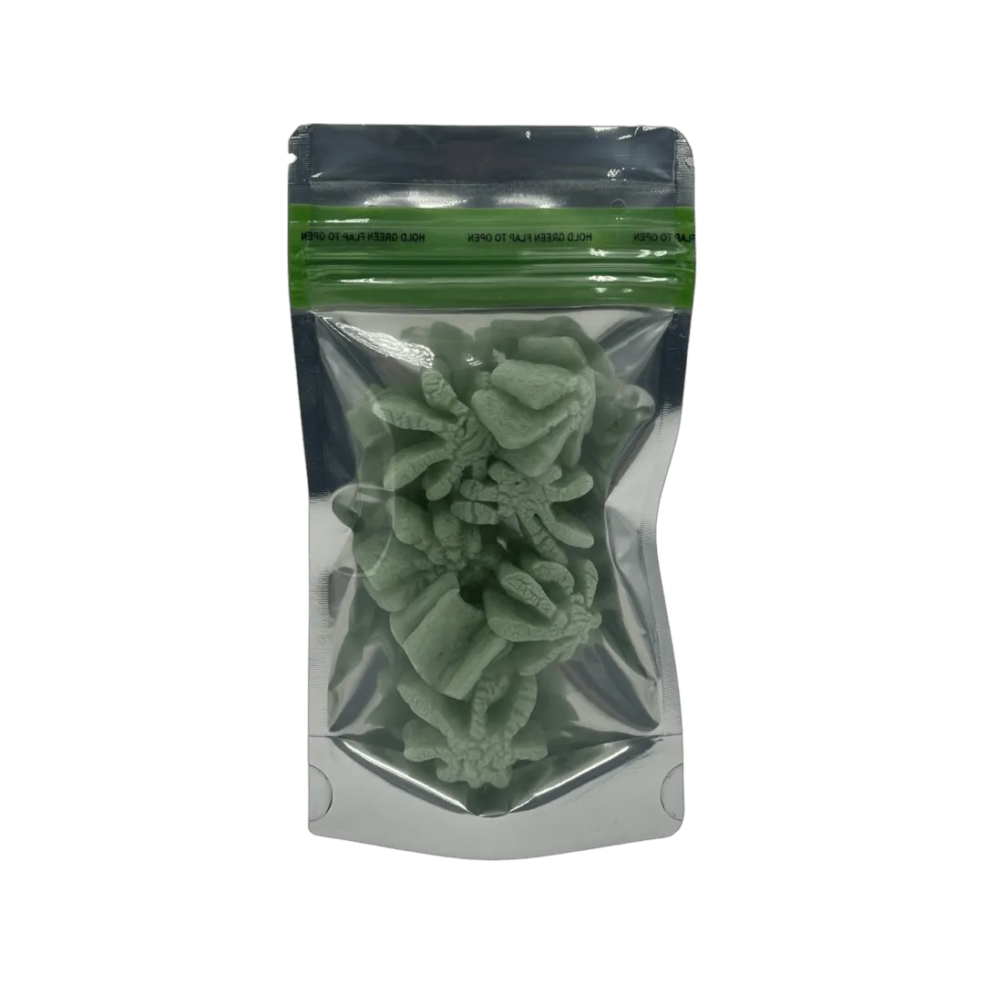 Bag King Child-Resistant Clear Front Green Zipper Bag | 1/4 oz