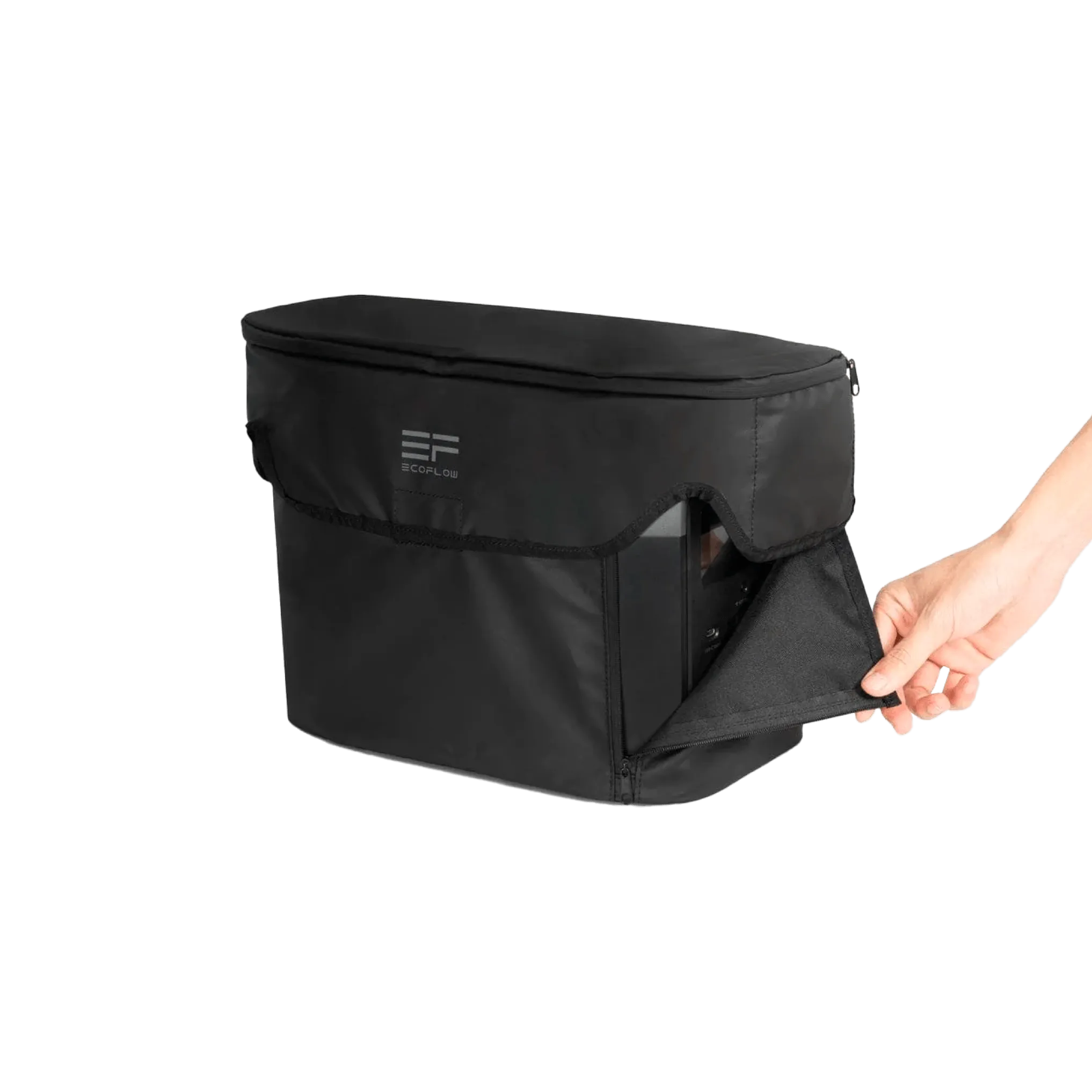 EcoFlow DELTA Mini Bag