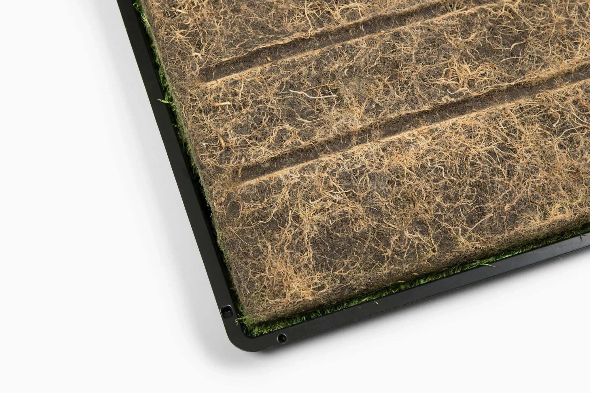 Gotta Go Grass 2 Pack with Tray   Waste Bags   Waste Bag Dispenser
