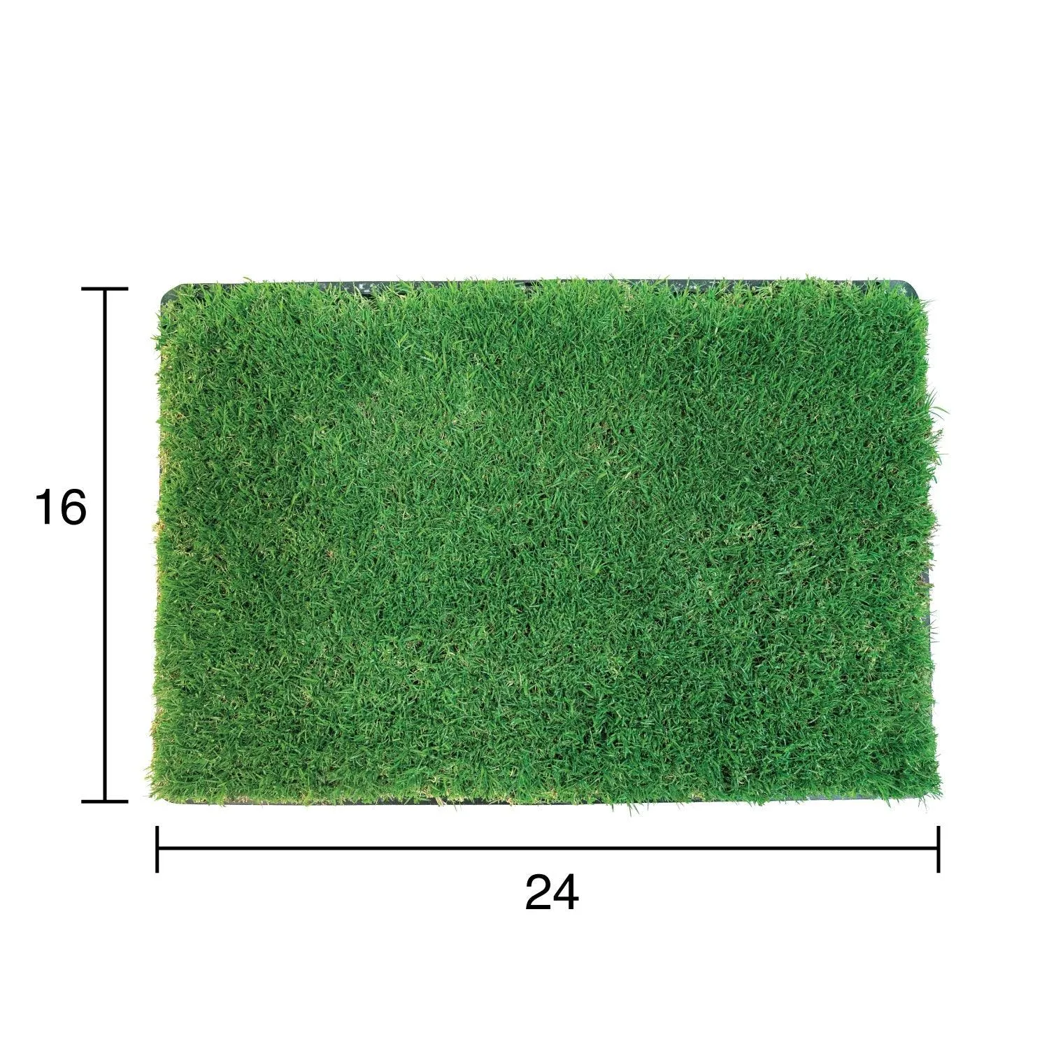 Gotta Go Grass 2 Pack with Tray   Waste Bags   Waste Bag Dispenser