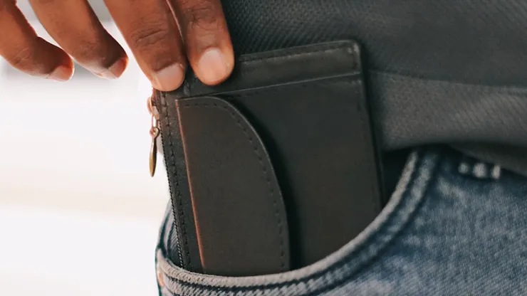 Hide and Seek Wallet (Black)