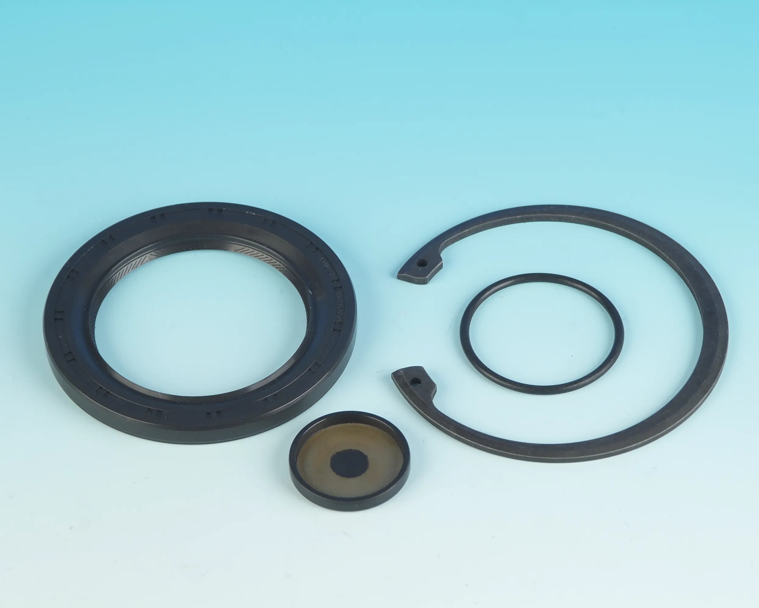 JGI-12074-XL - SPROCKET SEAL KIT SPORTSTER 2008-*