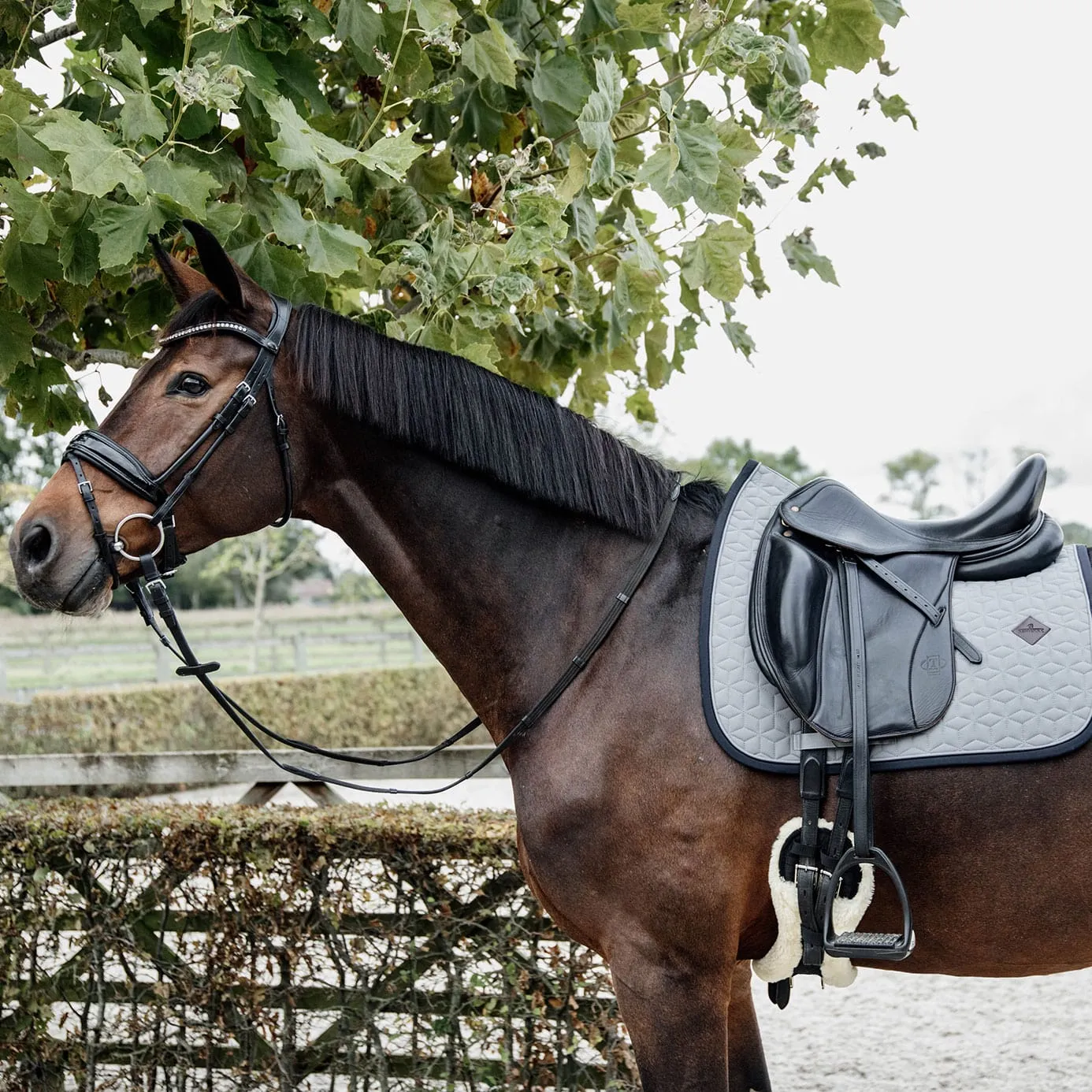 Kentucky Horsewear Softshell Dressage Saddle Cloth - Grey