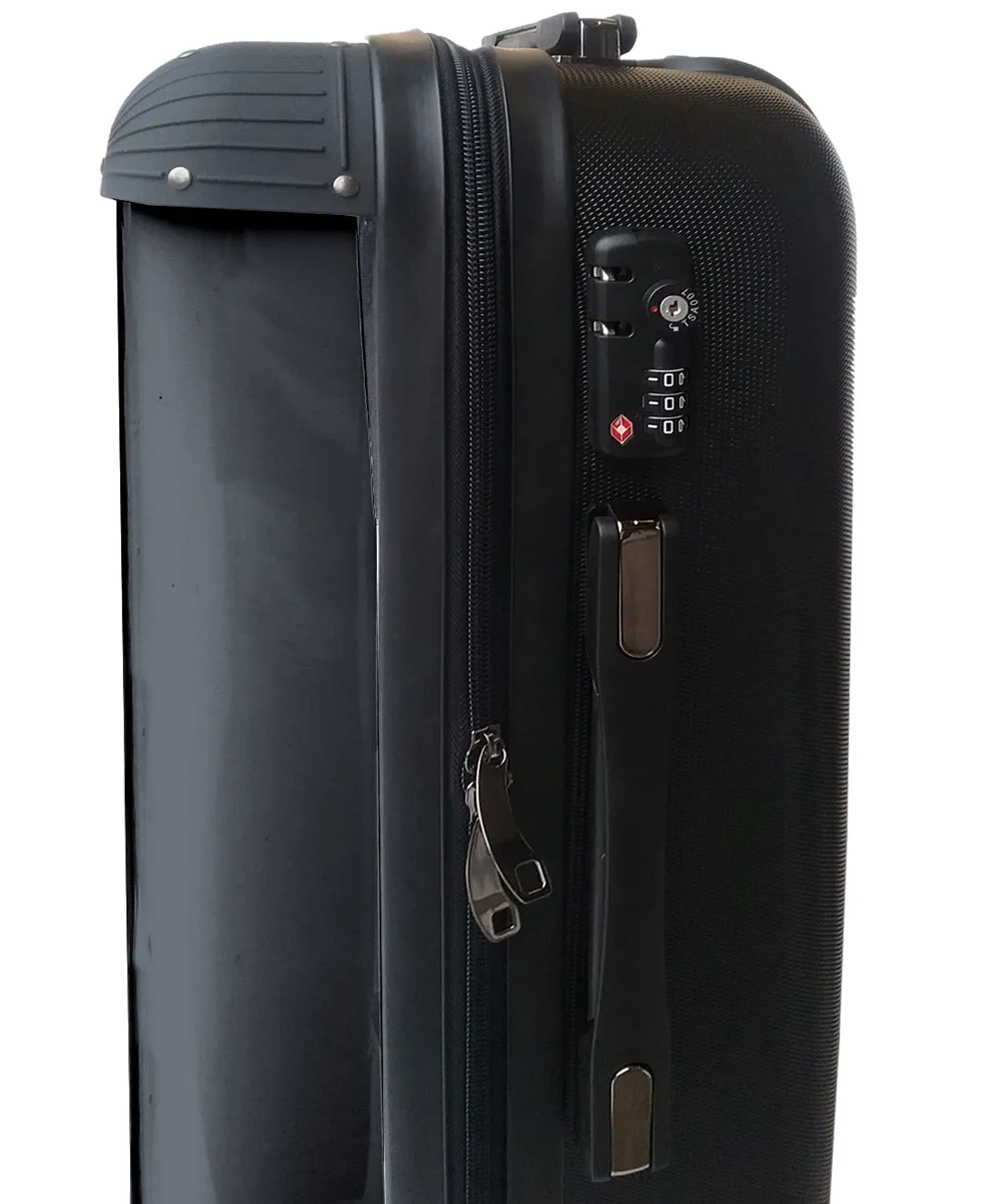 X-Ray Seahorse Suitcase / Luggage