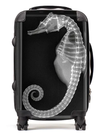 X-Ray Seahorse Suitcase / Luggage